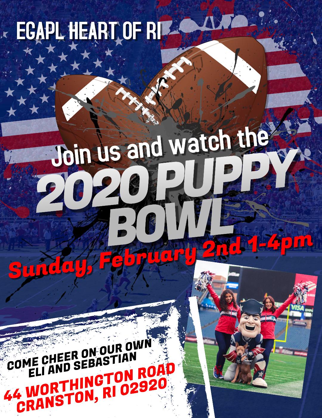 Puppy Bowl 2020