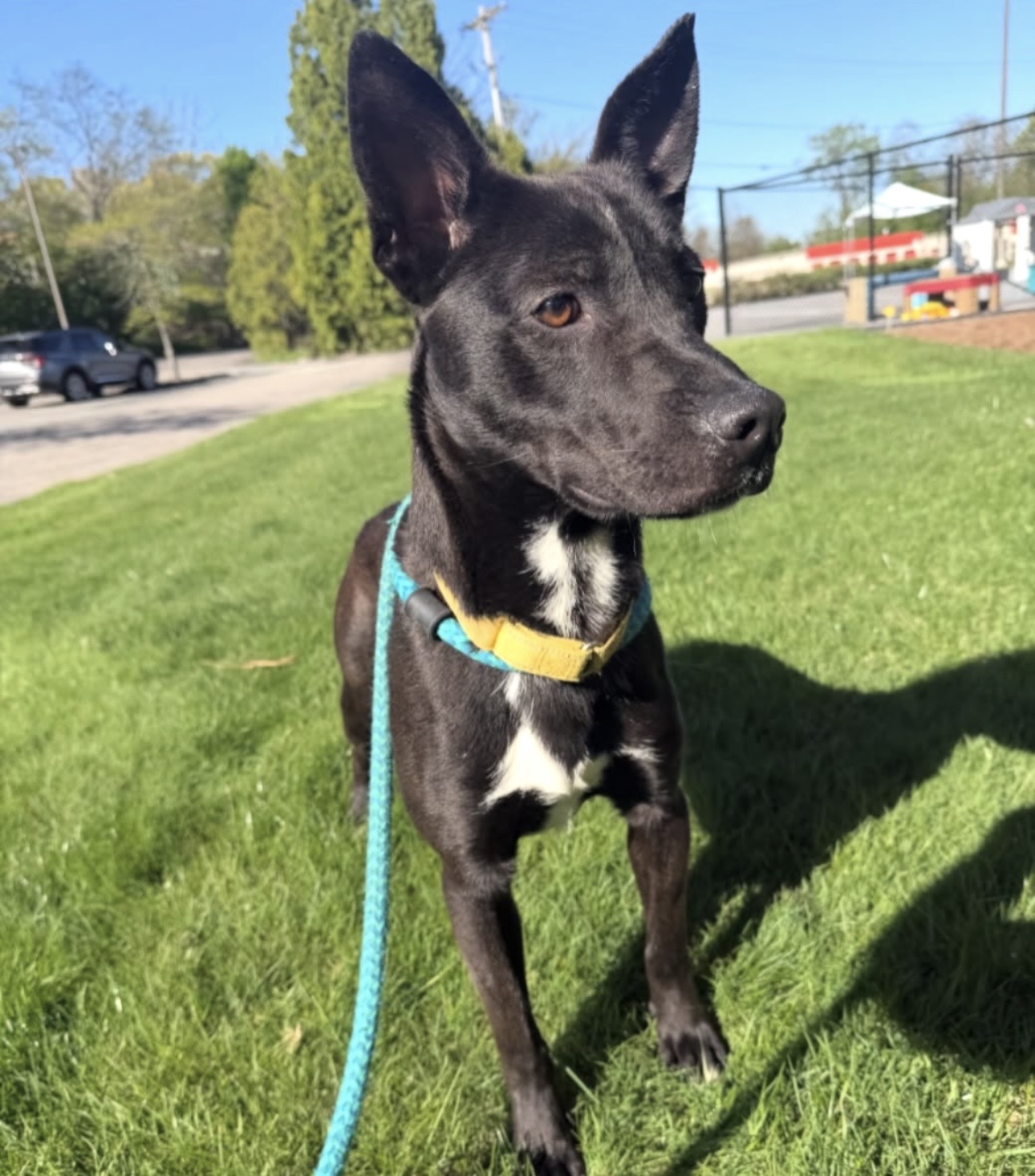 TUX